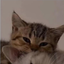 _issa avatar