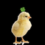 CloverChicken avatar