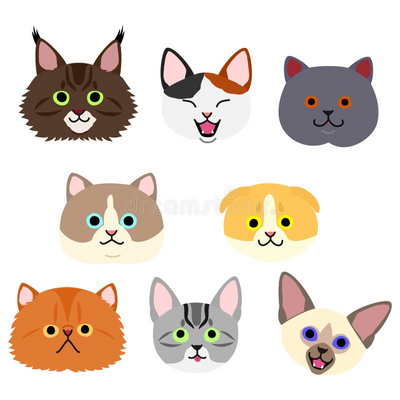 @The_9_Silly_Cats