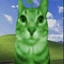 -_-catavlien-_- avatar