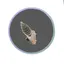 fishdoe avatar