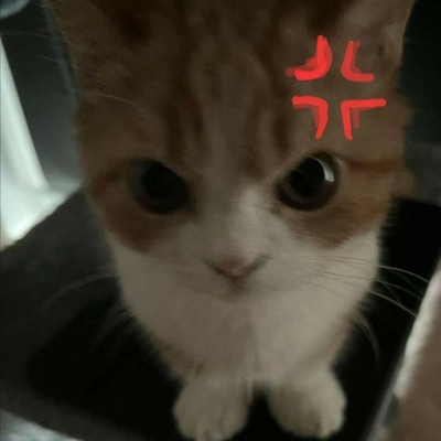@Randomangrycat