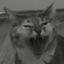 Hiimfunter avatar
