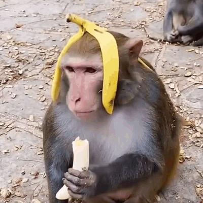 @ryuen