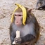 ryuen avatar