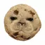 seal_cool avatar