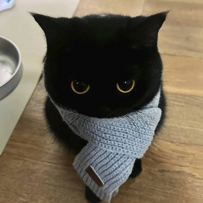 @imshatcat