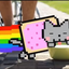 nyancatfan avatar