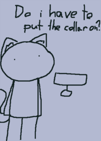 Short cat costume dressing