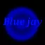 bluejay123 avatar