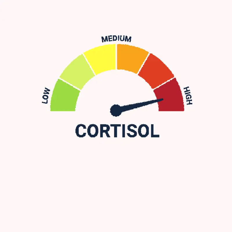 Low cortisol by @tuzki_and_friends