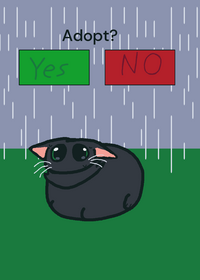 Adopt the cat?