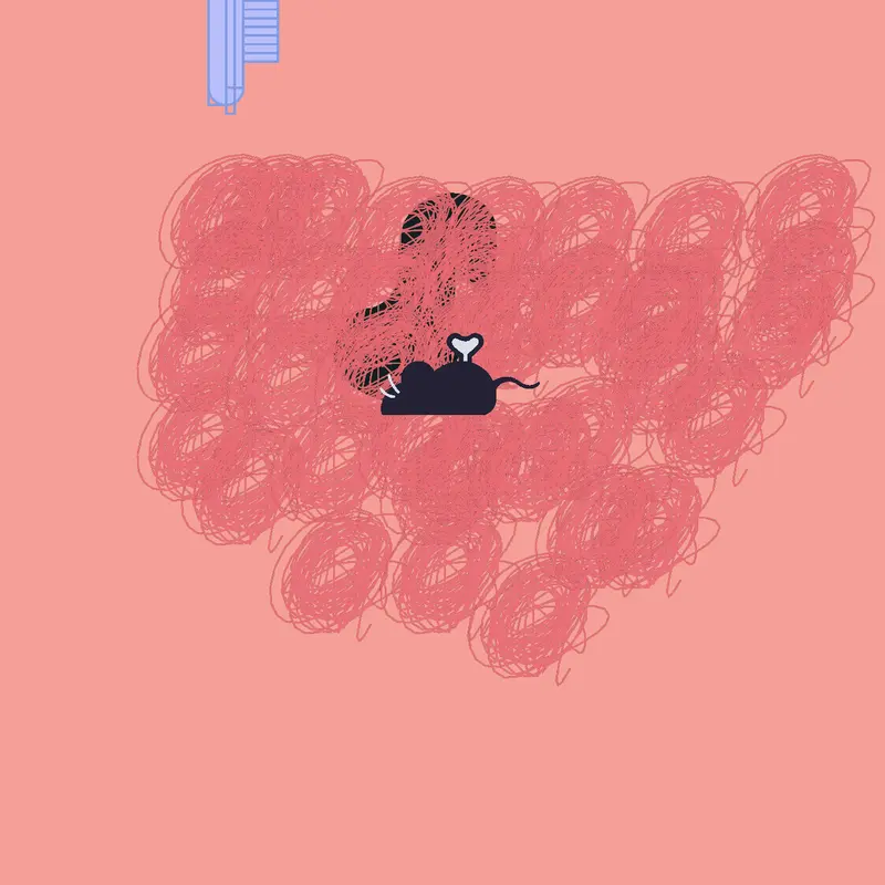 Game by @rushil_follows_evryone