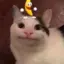 Forthery_Vortexer avatar