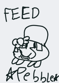feed pebble