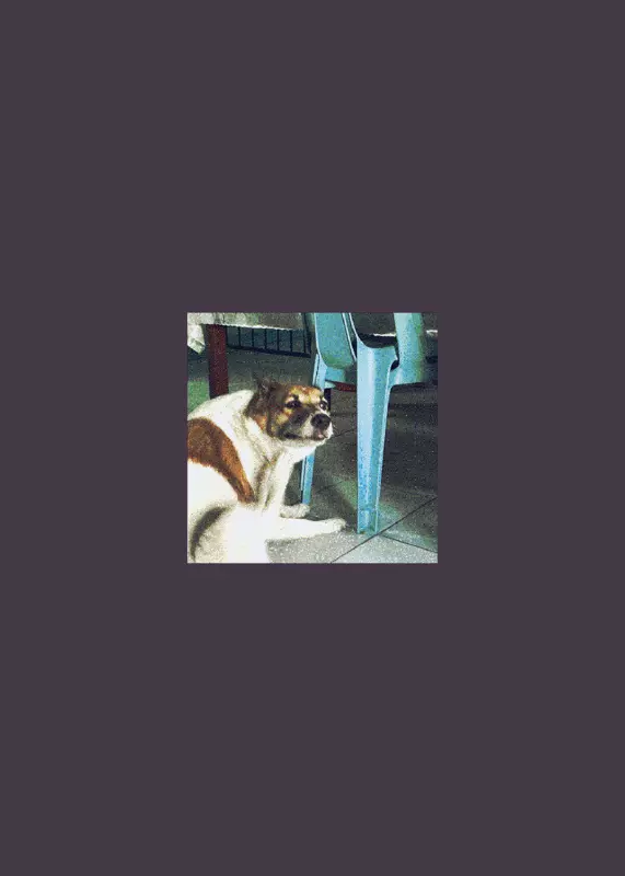 Pet de dog !1!1!1! by @KobeMakesDecks