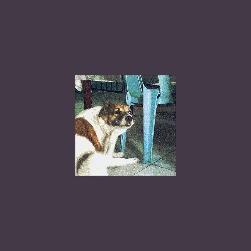 Pet de dog !1!1!1! by @KobeMakesDecks