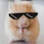 SwagOhioHamster avatar