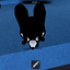kskdhdh avatar