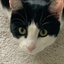 Esso avatar