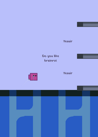 Quizdash junk