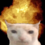 TypicalCringeGameCreator avatar