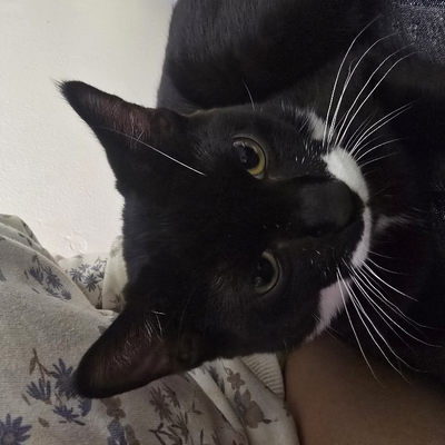 @Iloveanimalhospital3