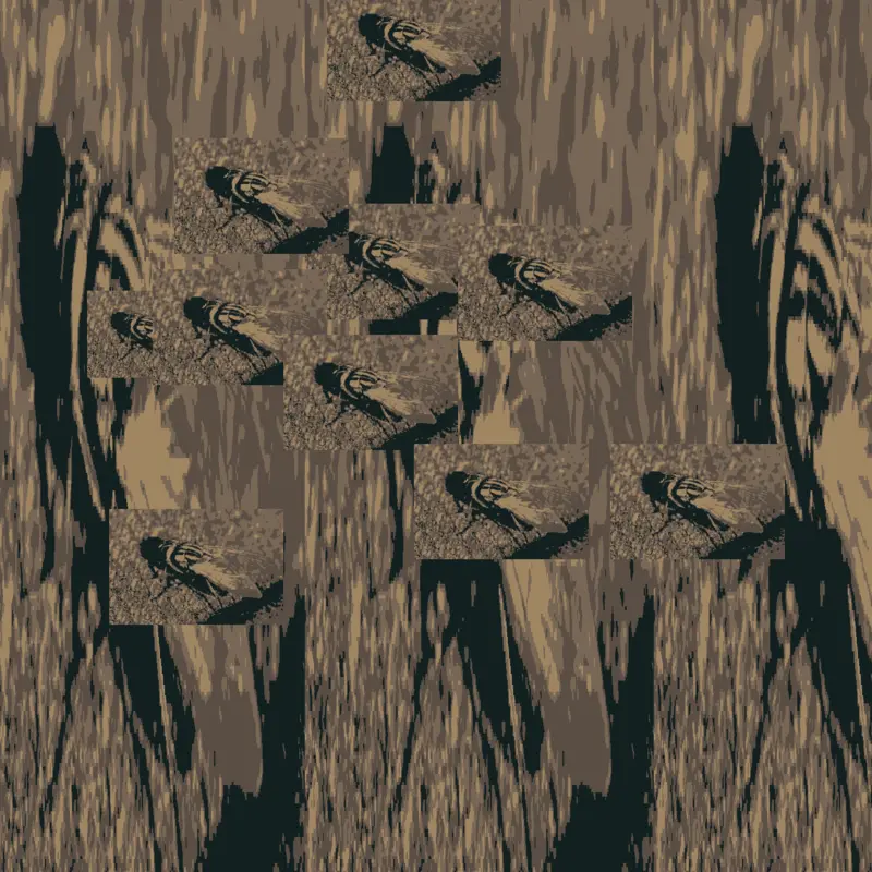 i am a fly i need a lullaby by @died2bh8ed