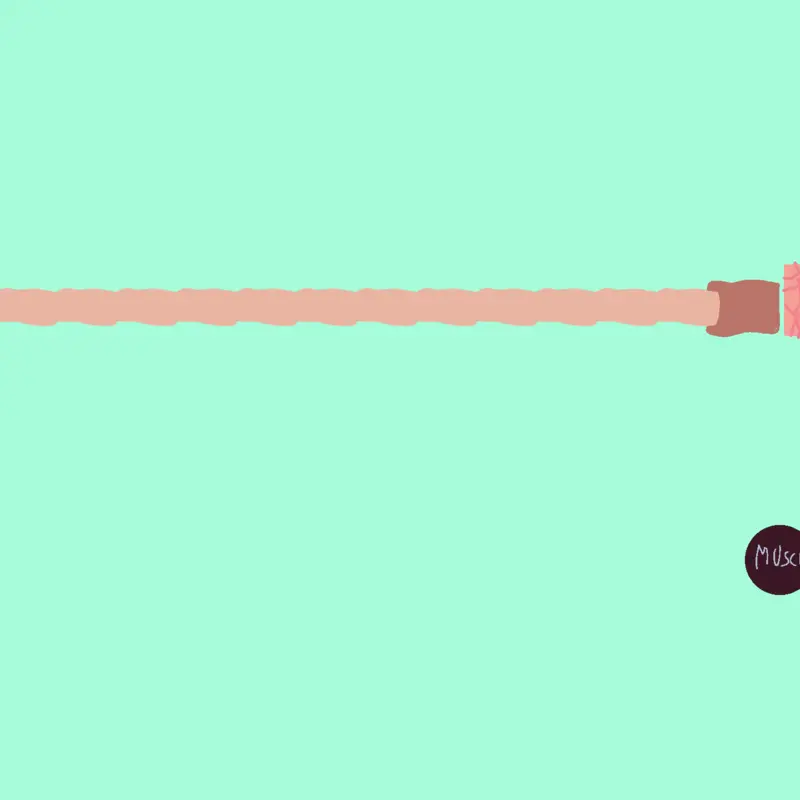 Creature editor by @barnusmano