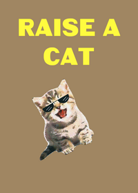 Raise a cat
