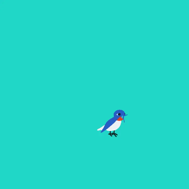A new blue jay by @AxelLeeTignor