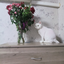 Kuzya_my_cat2 avatar