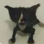 Gummy_Knady avatar