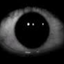Phen-110 avatar