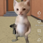 the_cat_sherif avatar