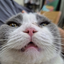 REOLXD avatar