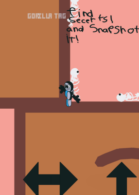 snapshot