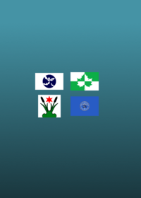 Flag band filler 7