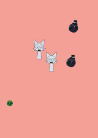 Alaska india brazil ragdolls