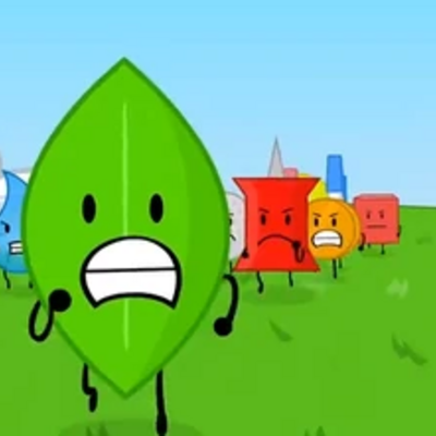 @bfdi-12