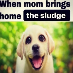 @Xurii4