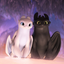 Night_Fury avatar