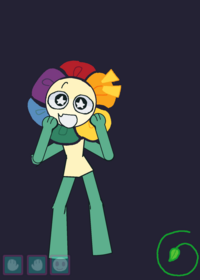 Dandy ragdoll