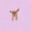 alxexas avatar