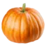 upumpkin avatar