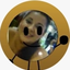 LigianeSchefler avatar