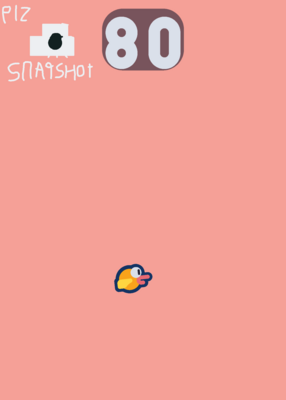 snapshot