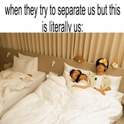 @leedavid