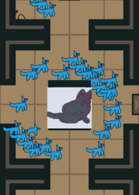 SURVIVE THE CAT INFECTION