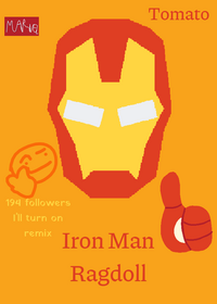 Iron Man Ragdoll!